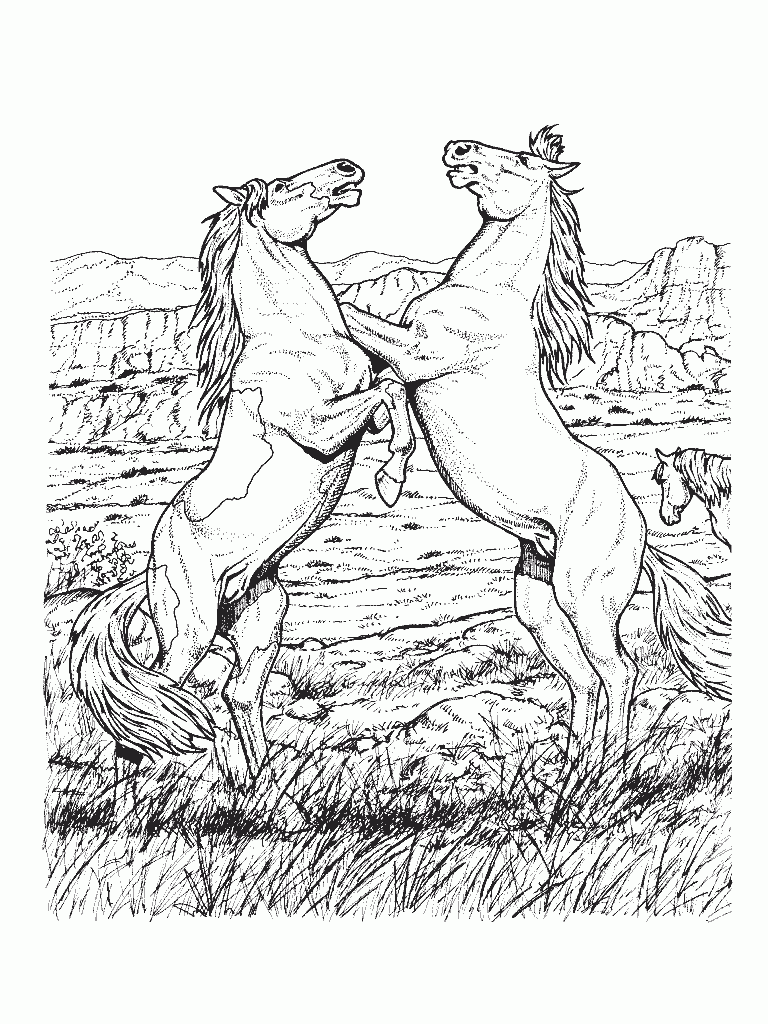 Horse Coloring Pages Printable Coloring Pages FREE